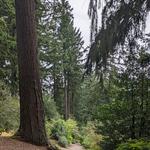 Washington Park