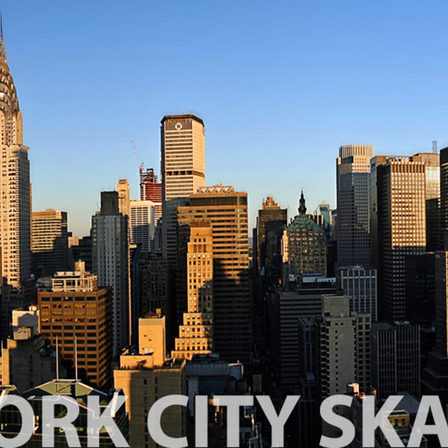 New York Skateboard Lessons!