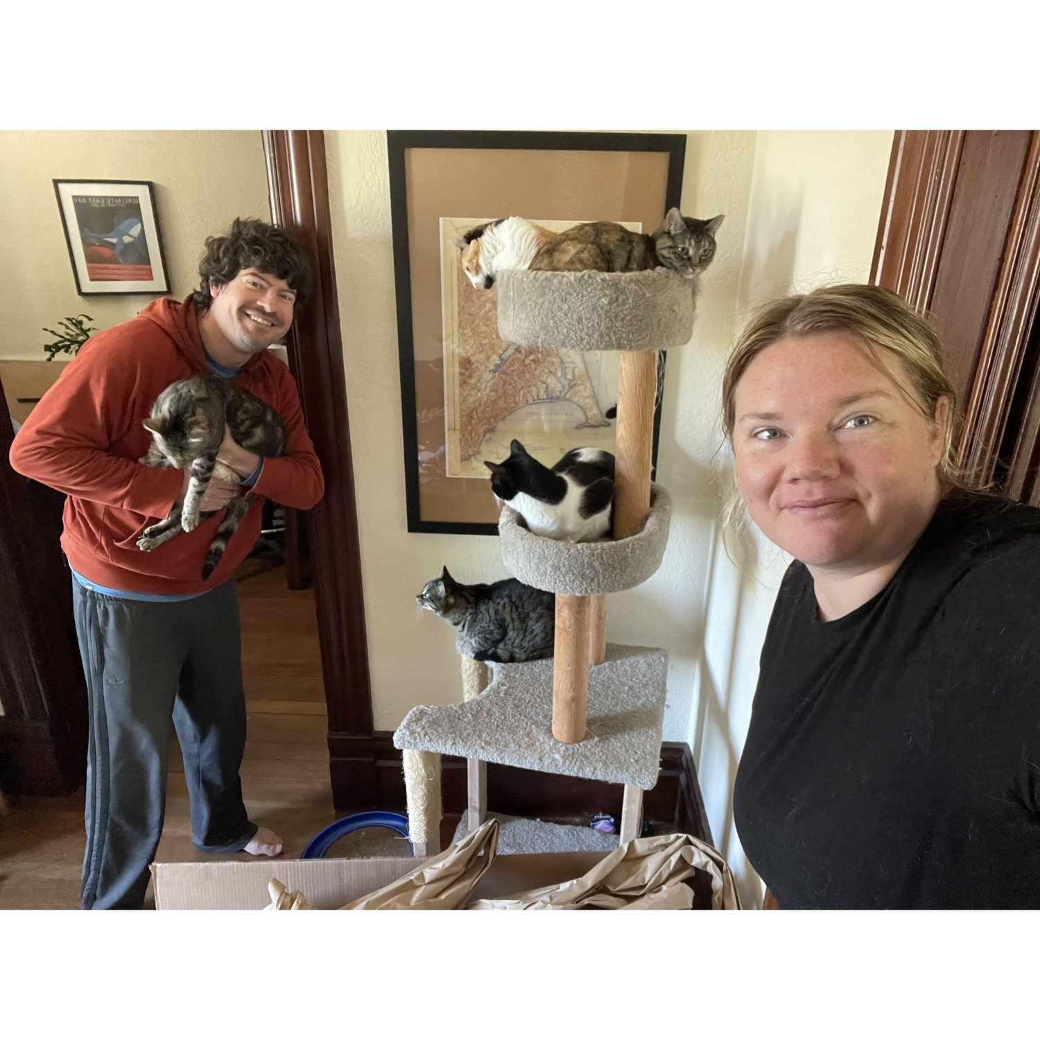 FIVE CATS ONE PHOTO