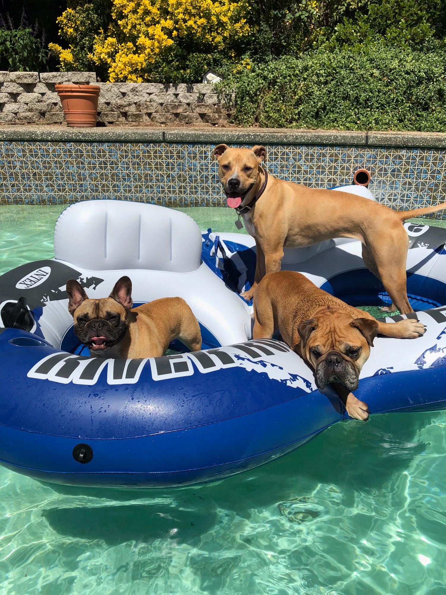 Pool Day!