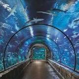 Shark Reef Aquarium at Mandalay Bay