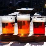Denver Microbrew Tour