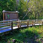 Darlingtonia State Natural Site