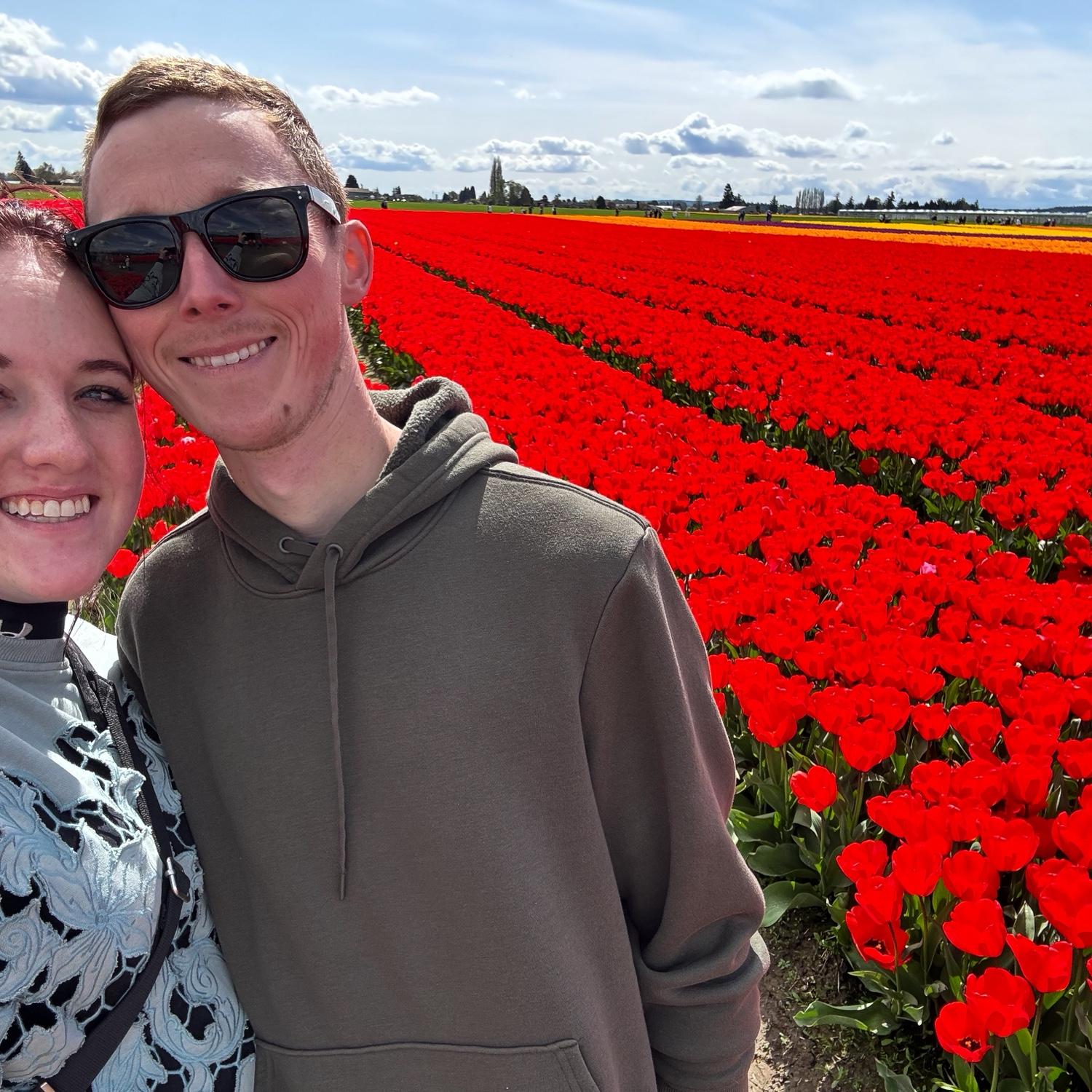 Endless tulips for our anniversary in Seattle.