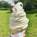 Anderson's Frozen Custard