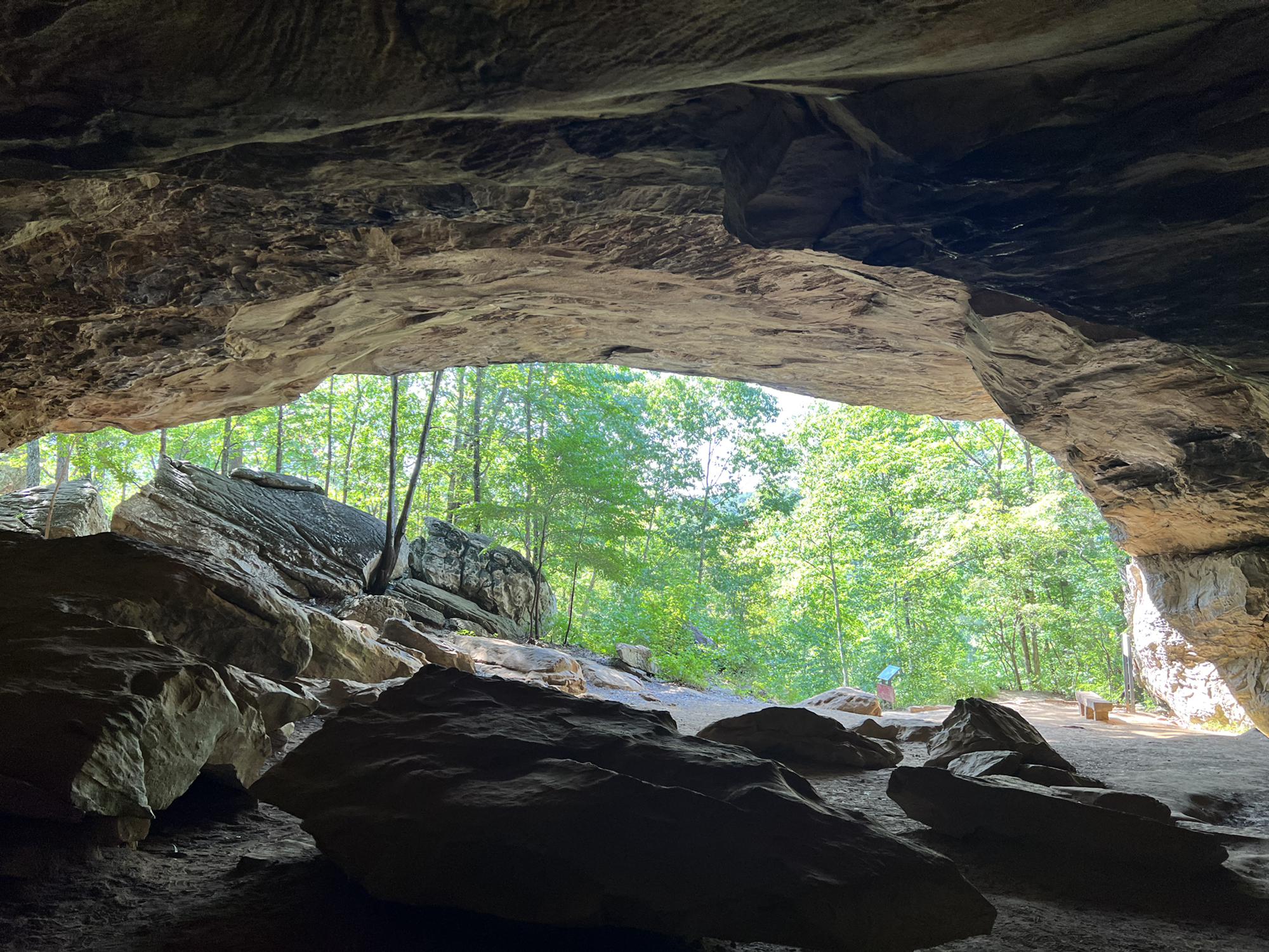 Where we got engaged! Petroglyphs date back 2000 years.