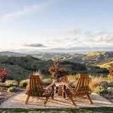 DAOU Vineyards