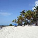 Smathers Beach