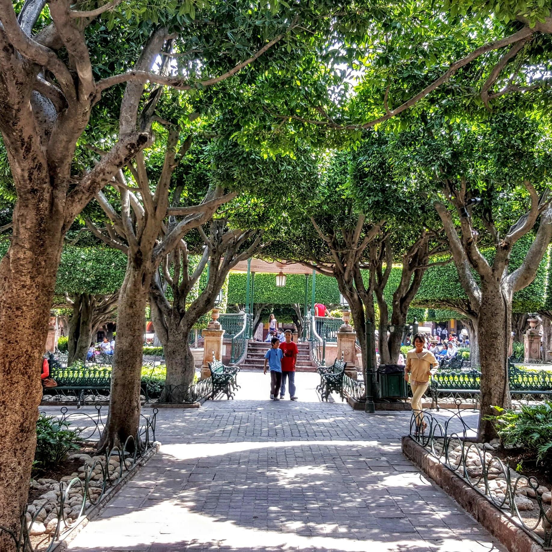 "Plaza del Centro"
Postales de San Miguel by Carla