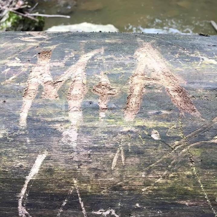 We carved this into a tree while visiting my family in Pennsylvania.