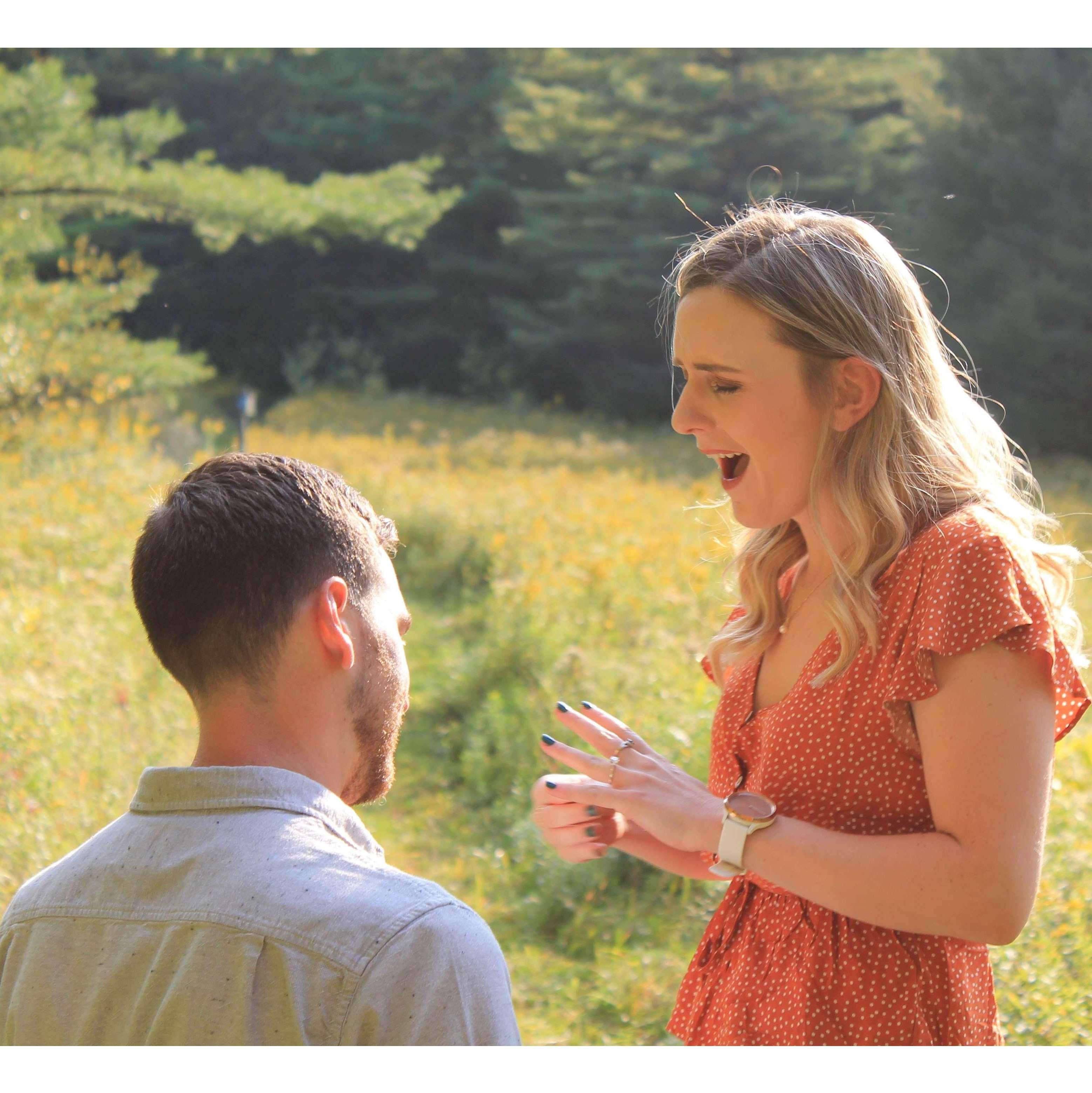 The proposal