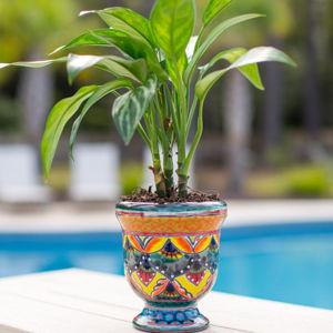 Talavera - Avera Products