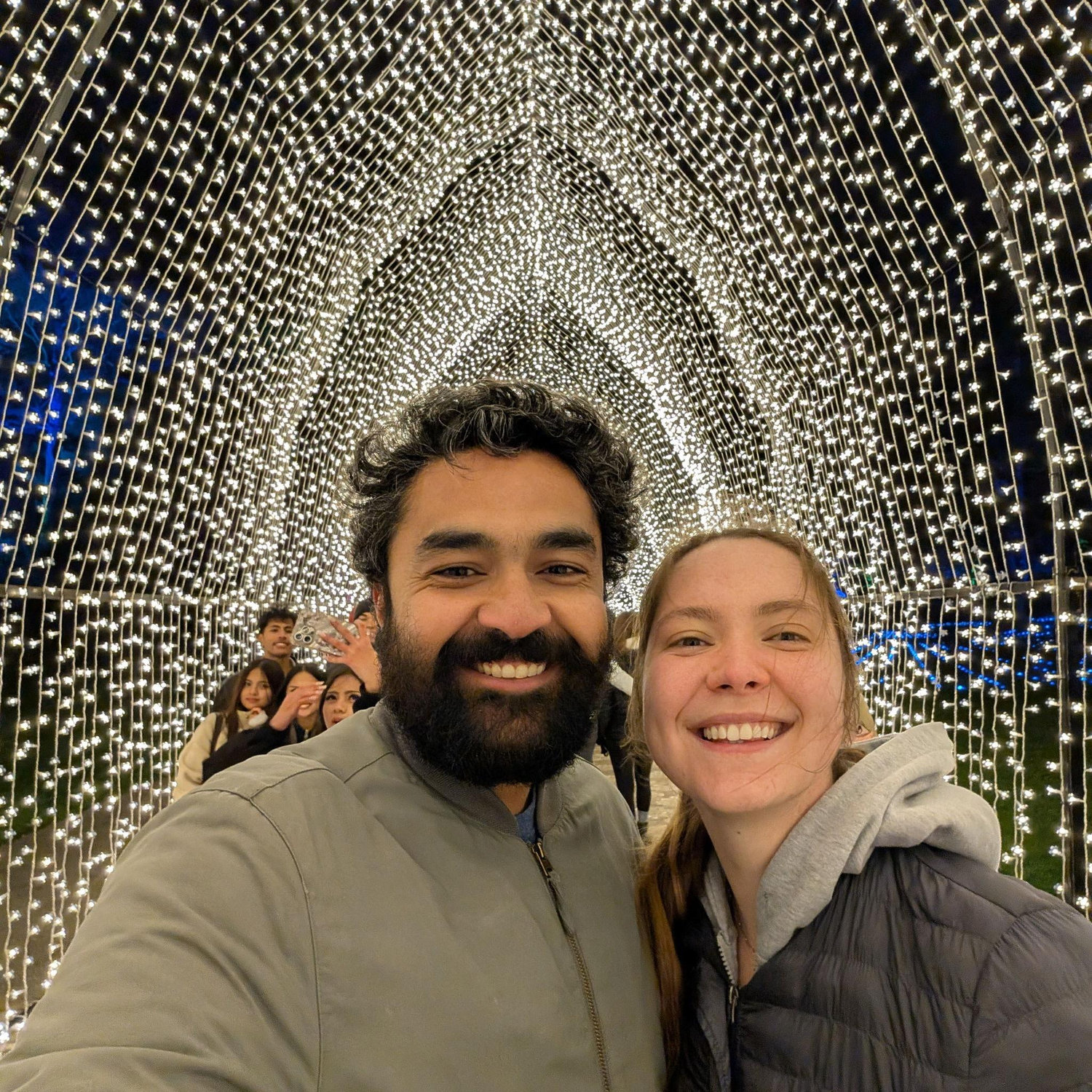 Holiday lights