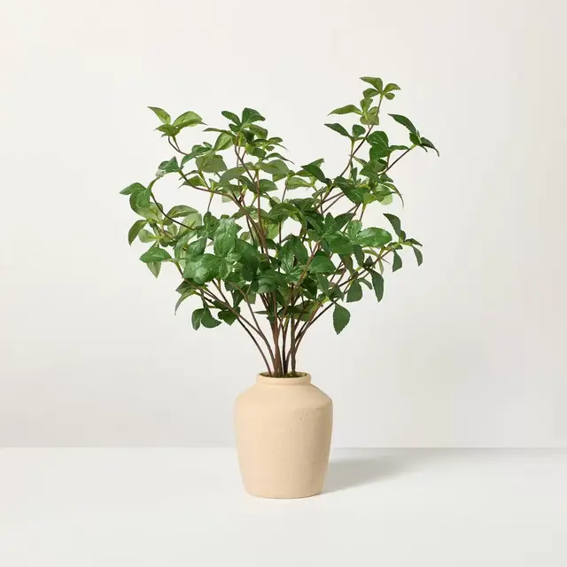 17" Faux Gypsophila Leaf Plant - Hearth & Hand™ with Magnolia