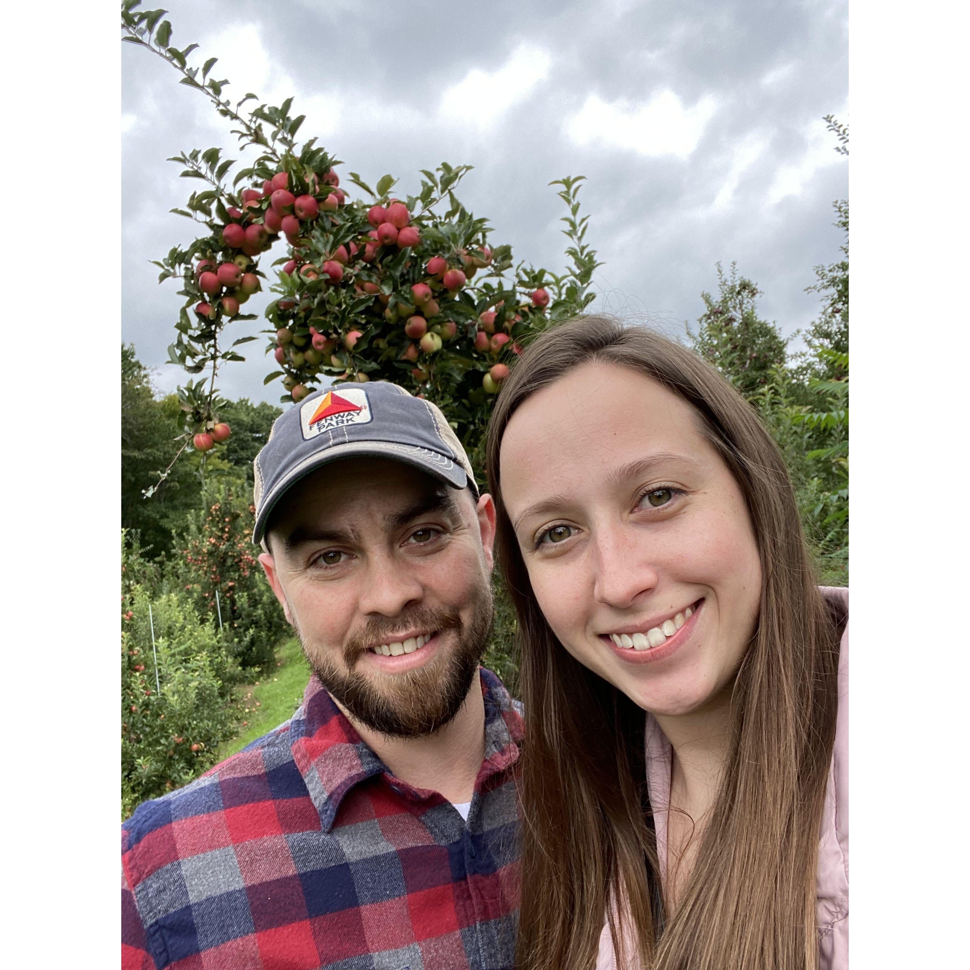 Fall favorite, apple picking!