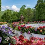 The North Carolina Arboretum