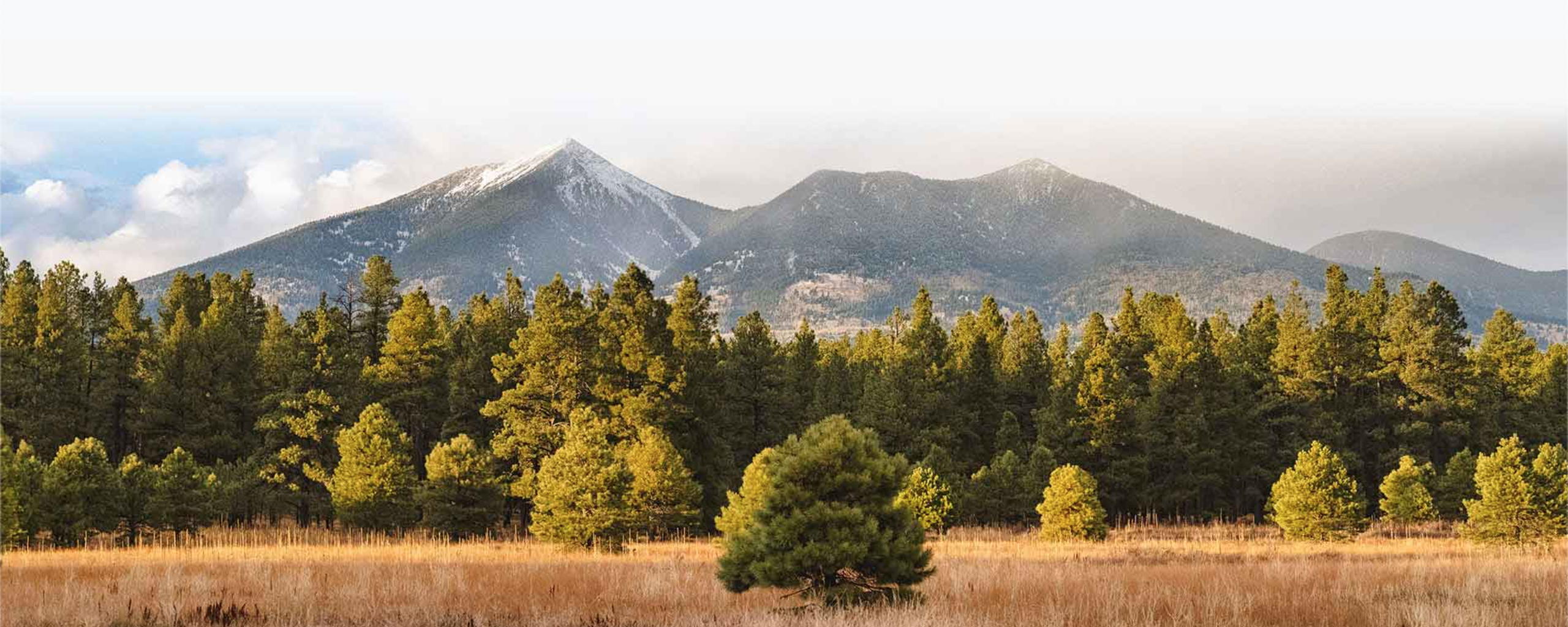 The Wedding Website of Katie Grigsby and Adam Jimenez