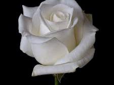 fd0456b0-a96d-4a66-b8ba-a8b428263a69