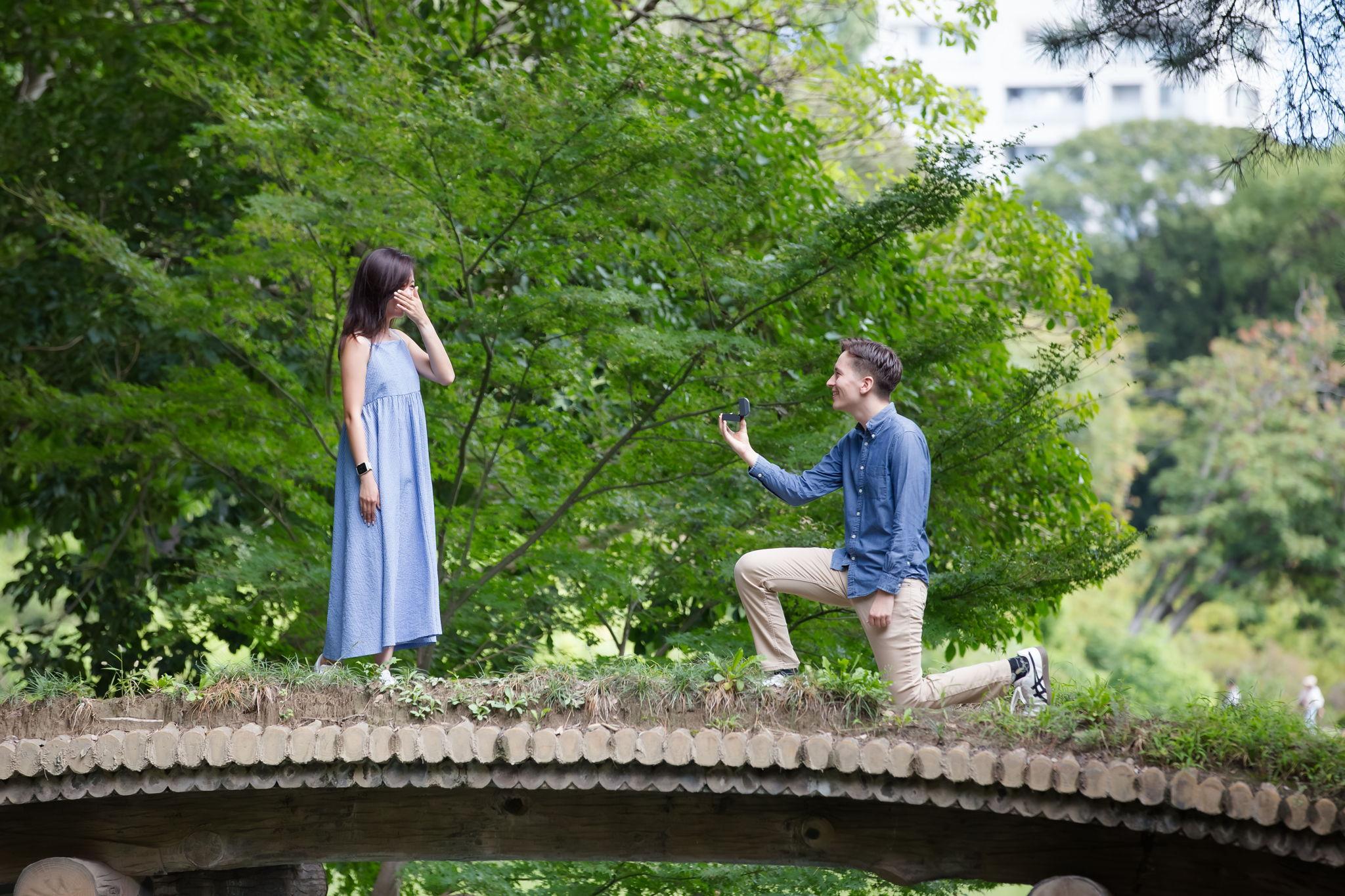 The Wedding Website of Han Gao and David Gisser