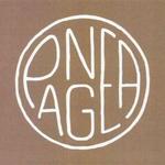 Pangea Kitchen