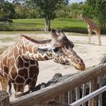 Zoo Miami