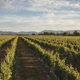 RMV Cellars