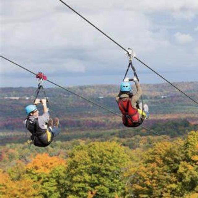 Honeymoom zip lining