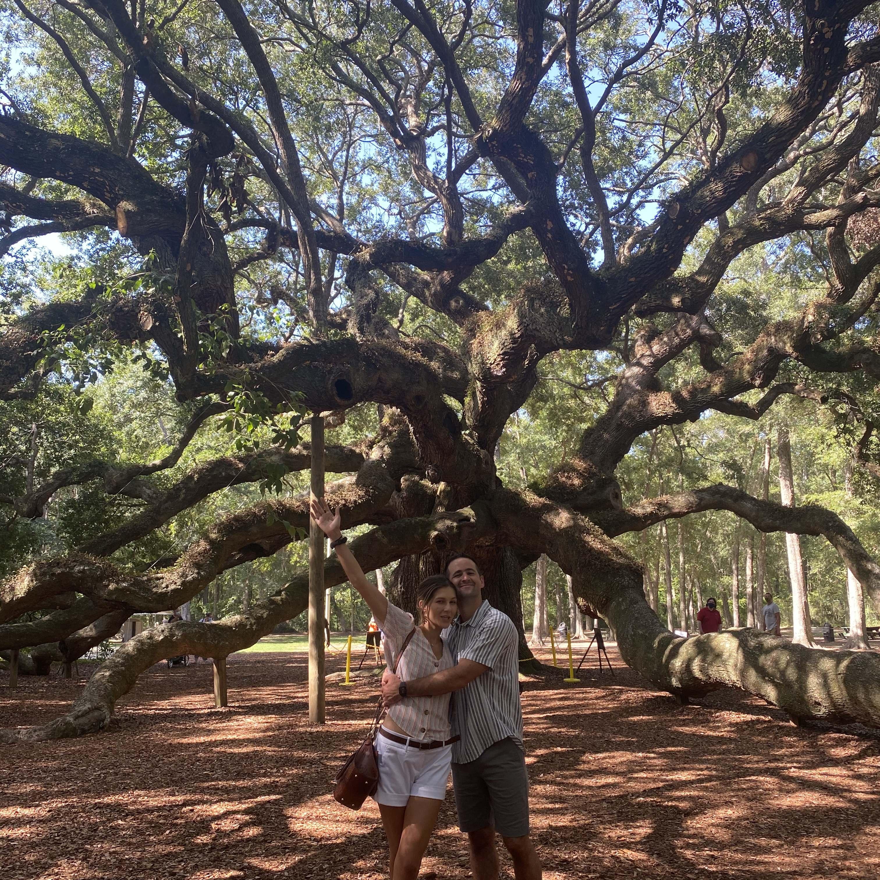 Enjoying Charlestons beautiful Angel Oak Tree, Fall 2020