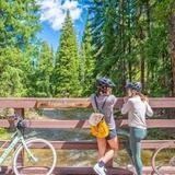 E-Bike Tours