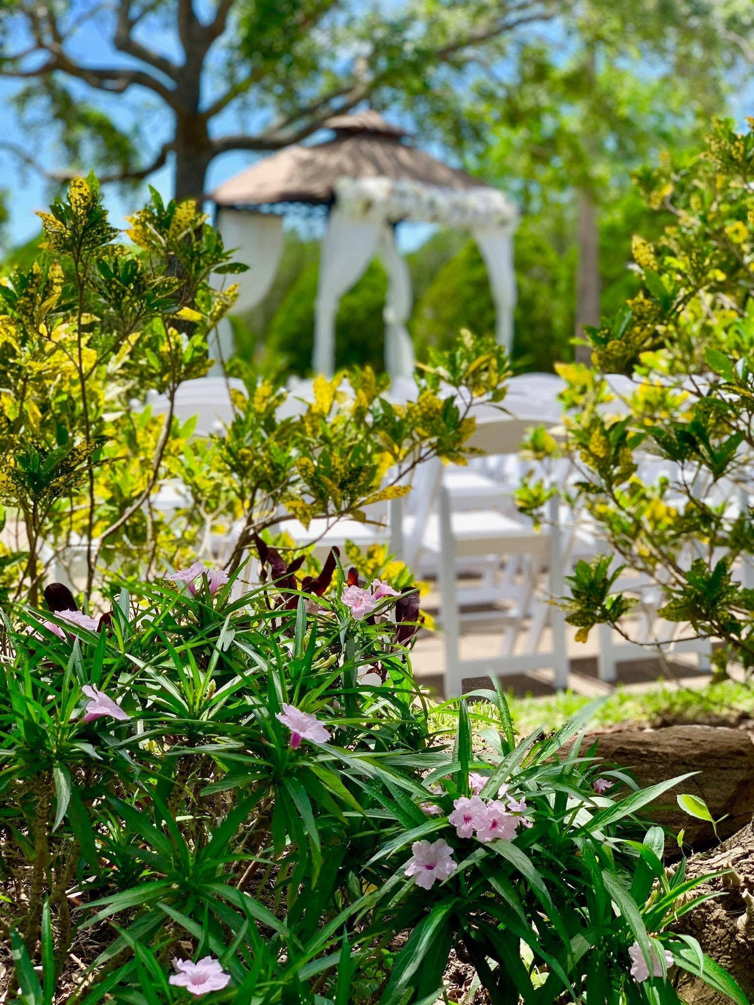 The Wedding Website of Yesenia Garcia and Alex Virues