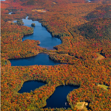 The bottom two lakes are on the Woodcraft property- bring your bathing suits.