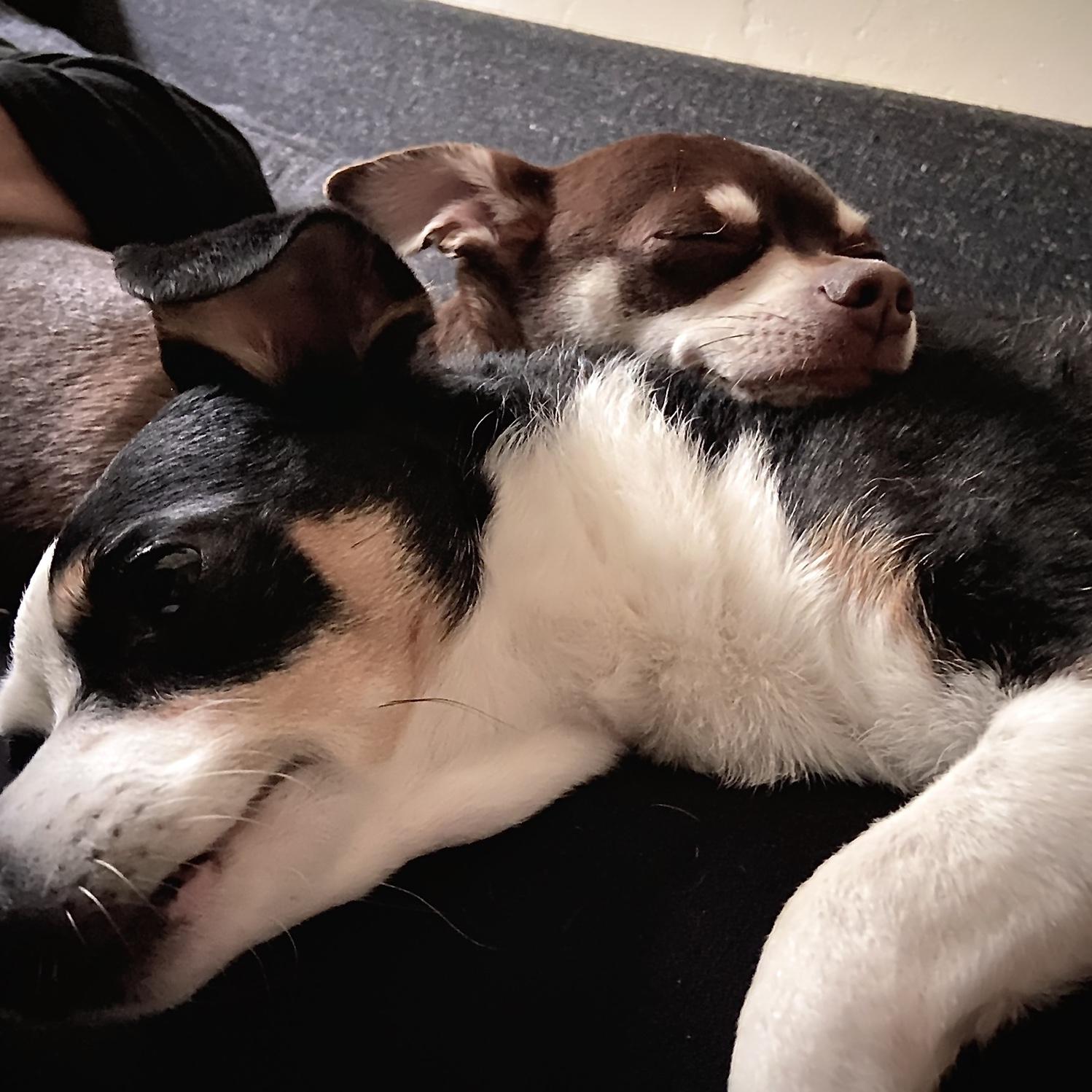 Snuggle bugs!