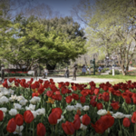 State Botanical Garden of Georgia