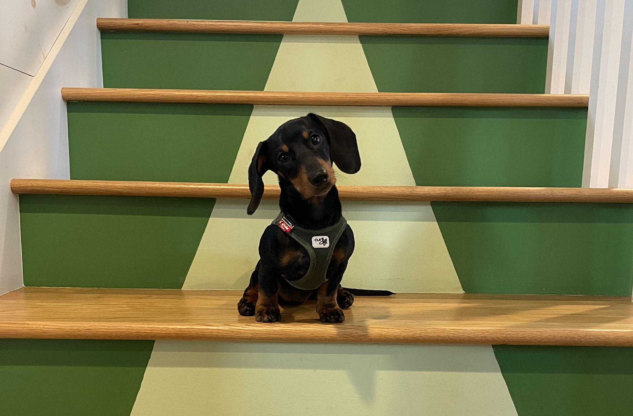 fd10ae95-cdef-476b-842f-11ad3532fbf9