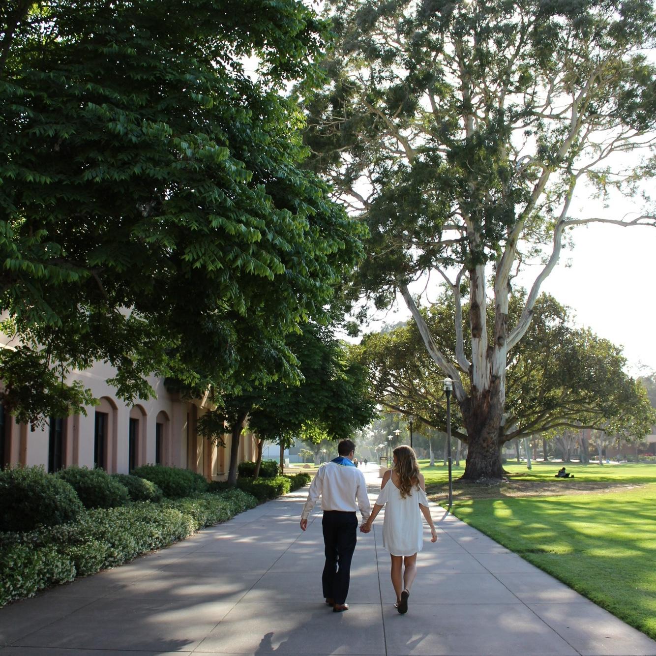 UC Santa Barbara (2017)
