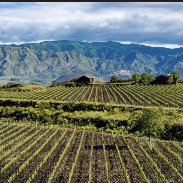 Mt. Etna Experience in Taormina, Sicily