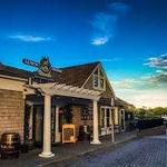 Jerry and The Mermaid