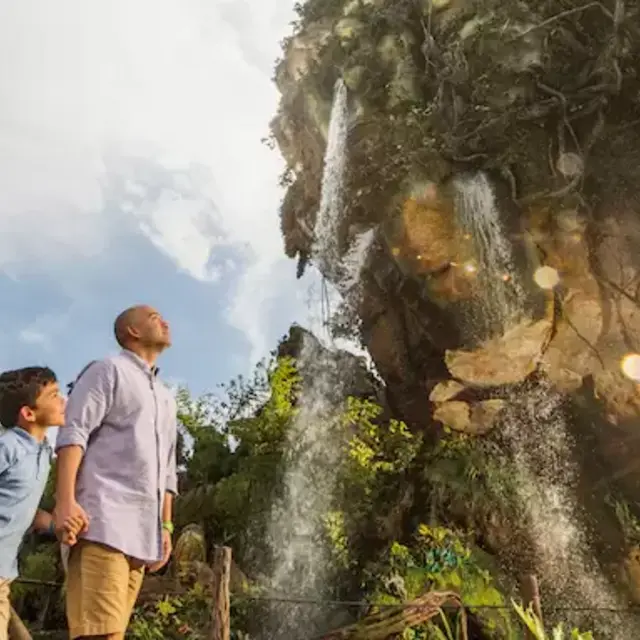 Disney's Animal Kingdom Theme Park Tickets