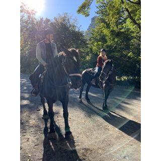 horseback riding in Central Park - these were retired therapy horses all dressed up for Halloween