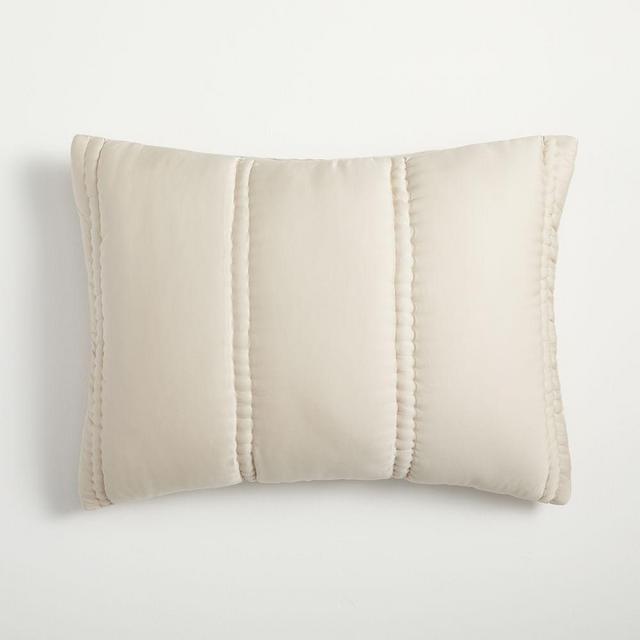 Silky TENCEL Plush, Standard Sham, Sand