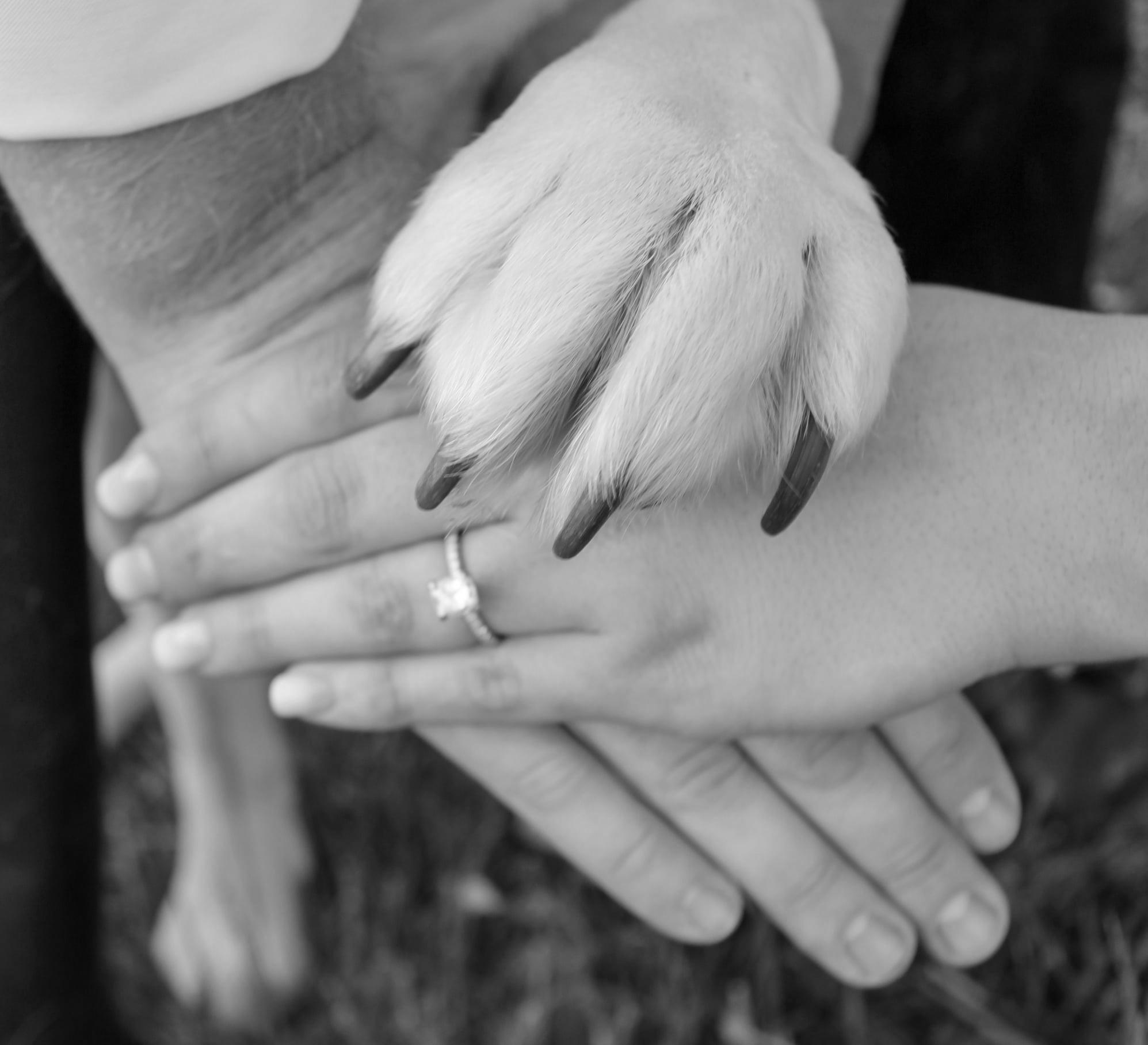 The Wedding Website of Megan Maguire and Matthew Gorman