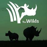 The Wilds