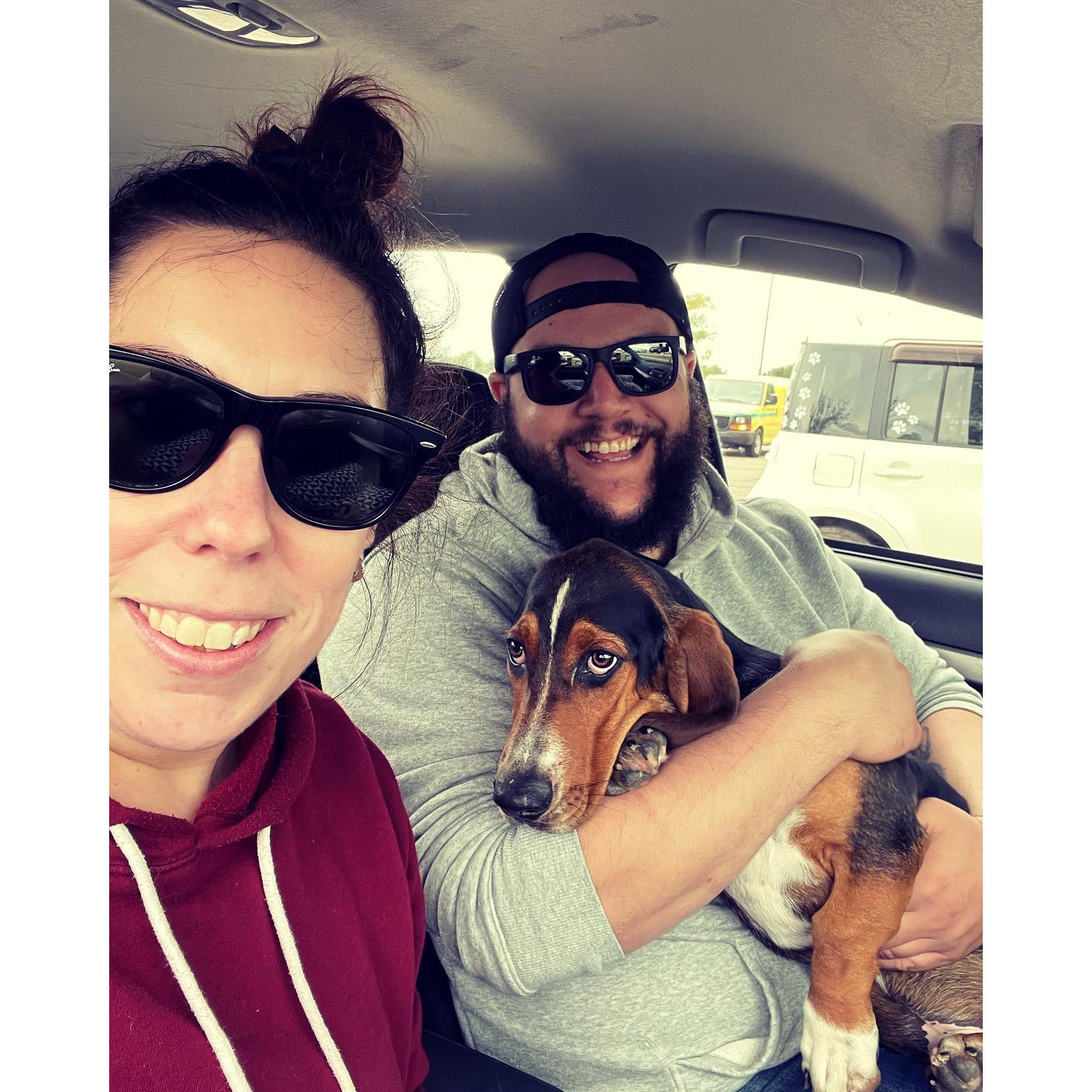 The day we brought Manchego home!