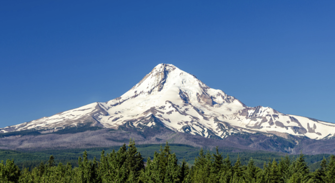 The Wedding Website of Zak Ellsworth and Madeline Salminen-Cunningham