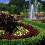 Oregon Garden