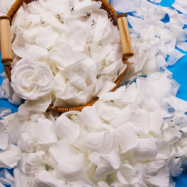 Koceko 300Pcs Dried Real White Rose Petals, Freeze Preserved Flower Petals 2.8 oz for Gifts Wedding Party Decor, Dinner Table Centerpieces, Bridal Shower, Confetti 80g