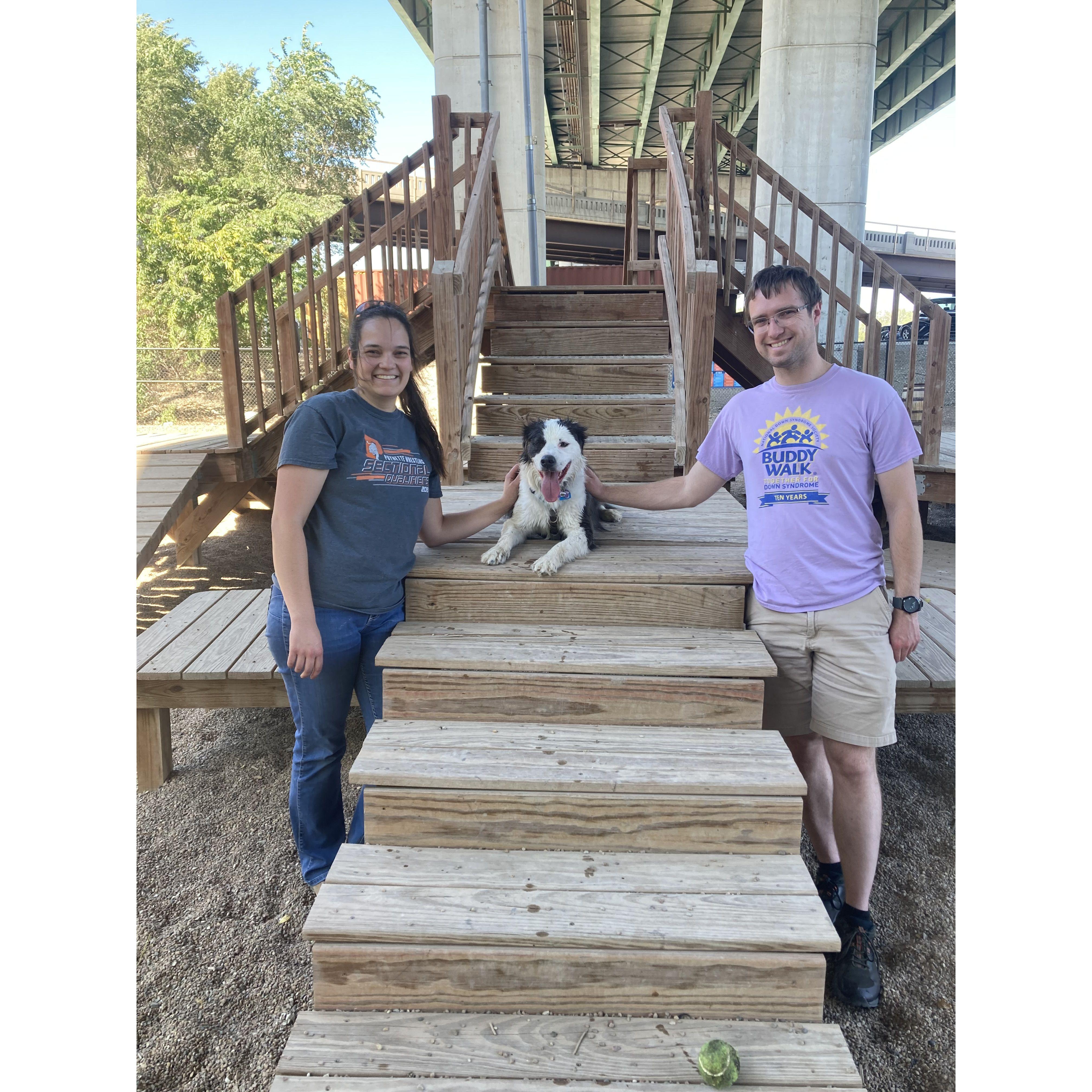 Celebrating Piper's 3rd Gotcha Day at BarK dog park and bar