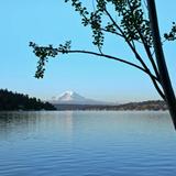 Seward Park
