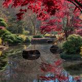 Gibbs Gardens