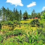 Croydon In The Mountains